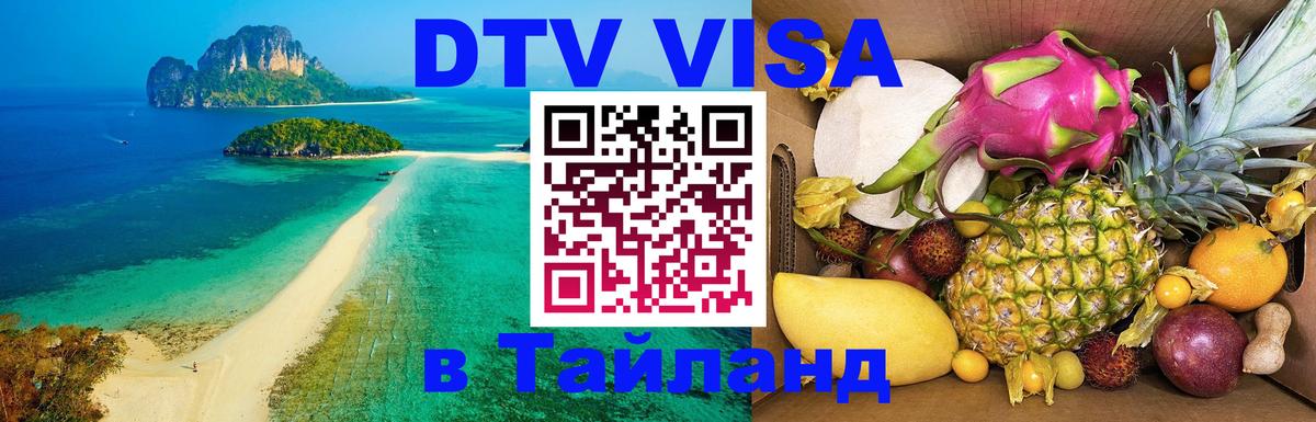 Оформление DTV визы под ключ: стоимость и тарифы, только загранпаспорт - София  20.11.2025 